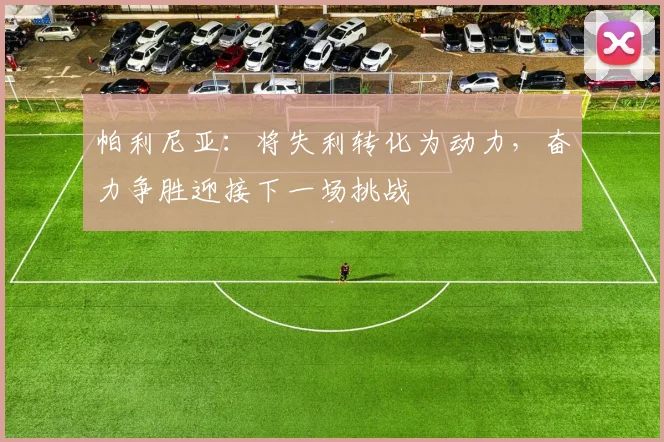 帕利尼亚：将失利转化为动力，奋力争胜迎接下一场挑战